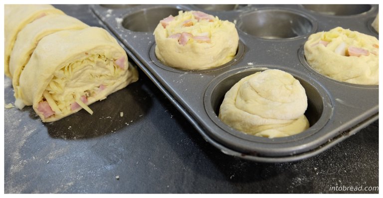 Rolls put into the tray