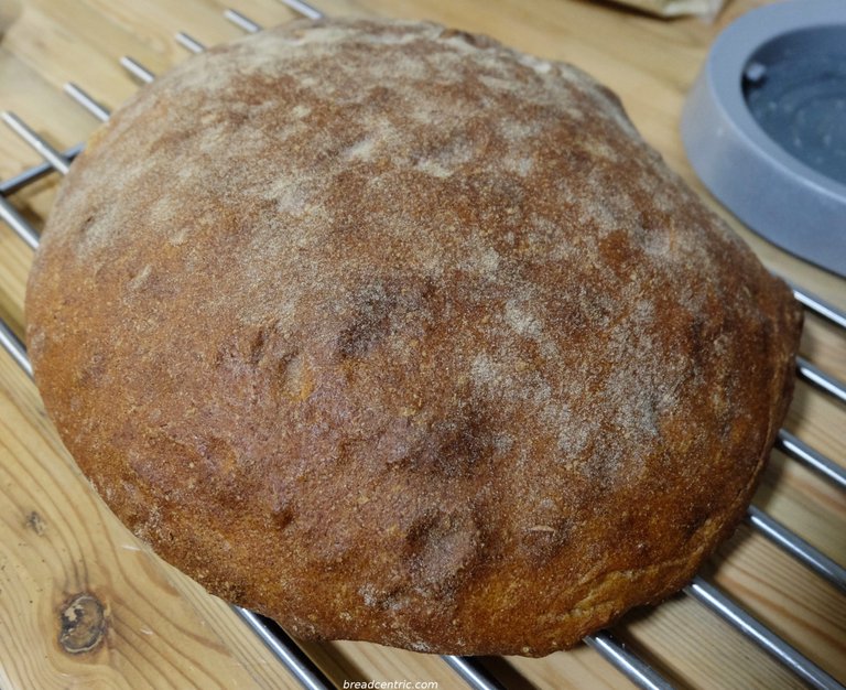 Spelt bread with honey
