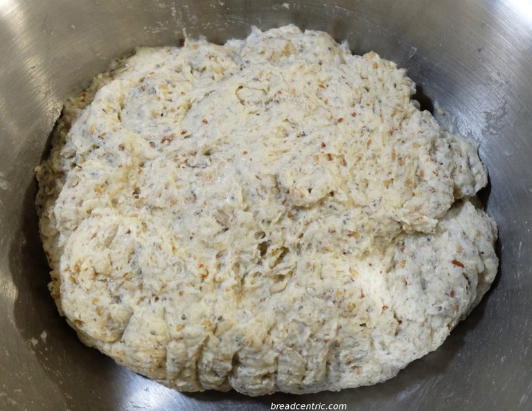 All ingredients combined into a dough