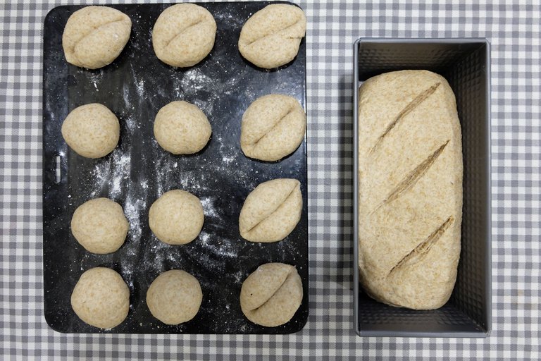 Shaped rolls and bread