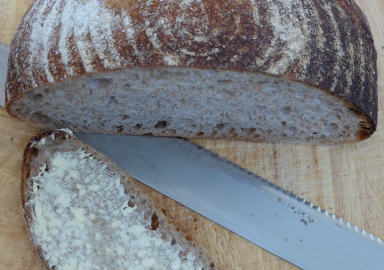 Justin’s sourdough - the crumb 2