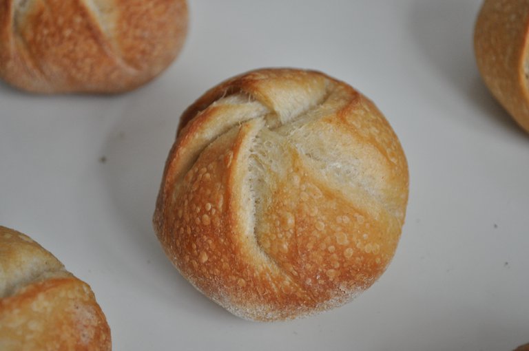 Kaiser roll