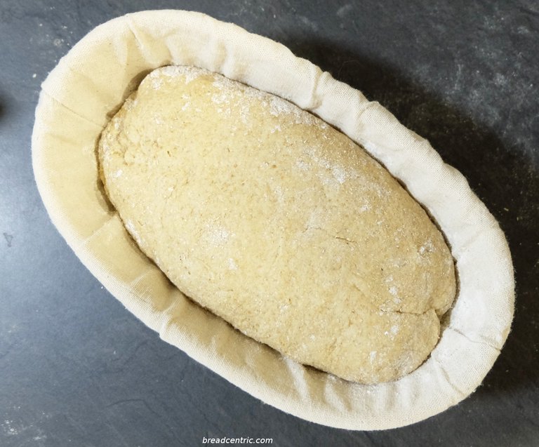 Khorasan wheat bread in a banneton