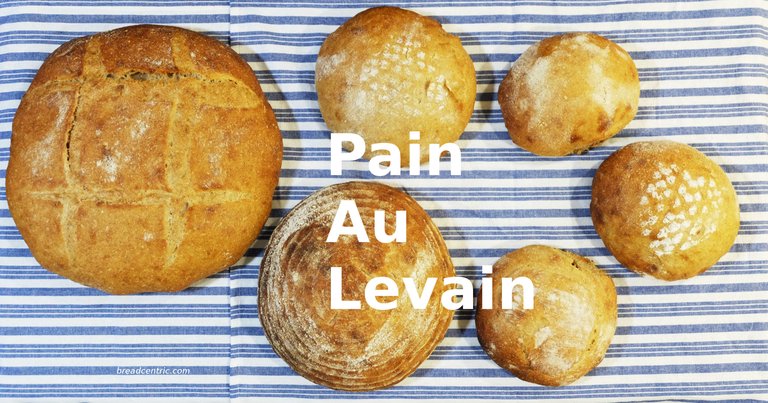 Pain Au Levain