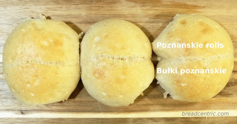 Poznańskie rolls