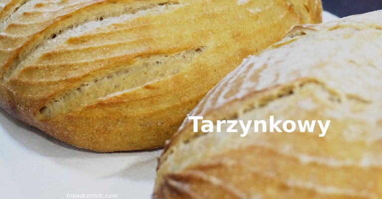 Tarzynkowy Bread
