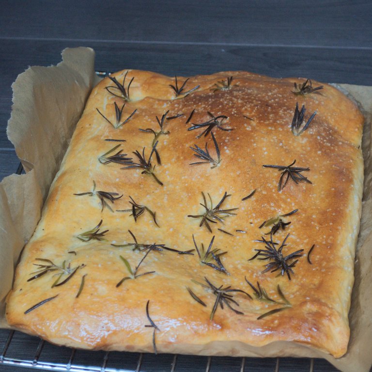 Focaccia