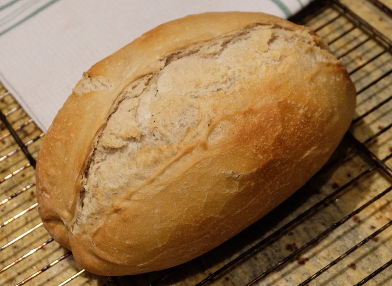 Wheat-rye yeast water bread