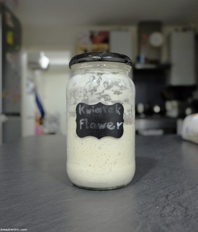 Helena’s sourdough