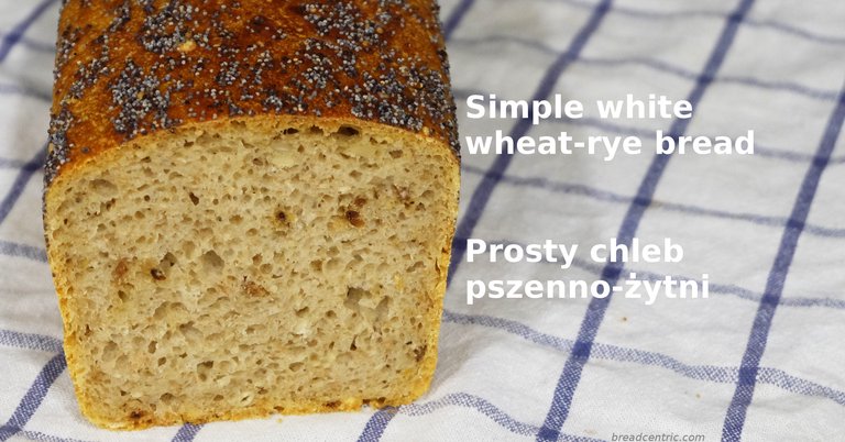 White wheat-rye bread