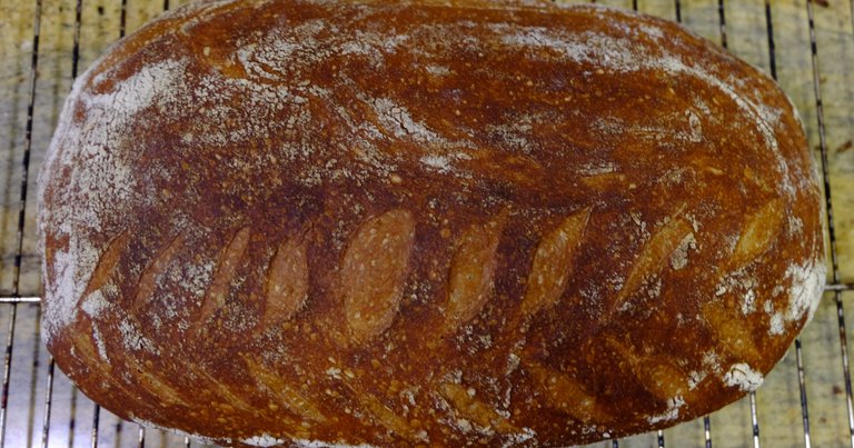 Yeast water. Woda drożdżowa.